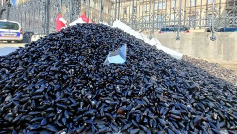 МОРСКЕ ЛОВОКРАДИЦЕ: У Италији ухапшено 18 људи због илегалног риболова, хватали смо ретке, заштићене врсте МОРСКЕ ЛОВОКРАДИЦЕ: У Италији ухапшено 18 људи због илегалног риболова, хватали смо ретке, заштићене врсте