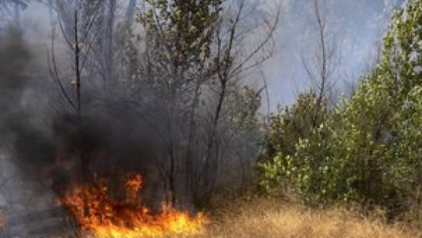 ВАТРОГАСЦИ ЋЕ ДЕЖУРАТИ ЦЕЛУ НОЋ: Пожар на Брачу под контролом, на Хвару локализован (ВИДЕО) ВАТРОГАСЦИ ЋЕ ДЕЖУРАТИ ЦЕЛУ НОЋ: Пожар на Брачу под контролом, на Хвару локализован (ВИДЕО)