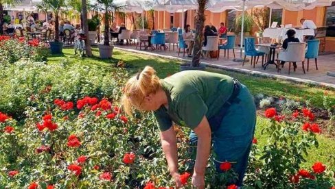 АКЦИЈА СОМБОРСКОГ ЈКП “ЗЕЛЕНИЛО”: Нове клупе у граду и на селима АКЦИЈА СОМБОРСКОГ ЈКП “ЗЕЛЕНИЛО”: Нове клупе у граду и на селима