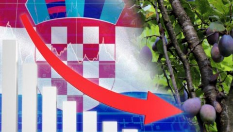 ХРВАТИ ЈЕДУ СРПСКЕ ШЉИВЕ: Драстичан пад пољопривредне производње у комшилуку, племенита воћка на високој цени ХРВАТИ ЈЕДУ СРПСКЕ ШЉИВЕ: Драстичан пад пољопривредне производње у комшилуку, племенита воћка на високој цени