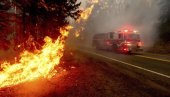 ВАТРЕНА СТИХИЈА ОДНОСИ ЖРТВЕ: три особе погинуле у шумском пожару у Калифорнији ВАТРЕНА СТИХИЈА ОДНОСИ ЖРТВЕ: три особе погинуле у шумском пожару у Калифорнији