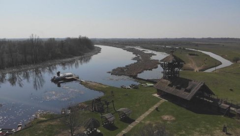 LEPE VESTI: Prvi put posle 19. veka zabeleženo gnežđenje ražnjeva na Zasavici LEPE VESTI: Prvi put posle 19. veka zabeleženo gnežđenje ražnjeva na Zasavici