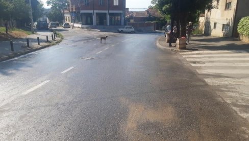 ШУТ, КАМЕЊЕ И ДЕЛОВИ АСФАЛТА ЗАГУШИЛИ КАНАЛИЗАЦИЈУ: Ево шта су надлежни пронашли у Врању након пријаве грађана (ФОТО) ШУТ, КАМЕЊЕ И ДЕЛОВИ АСФАЛТА ЗАГУШИЛИ КАНАЛИЗАЦИЈУ: Ево шта су надлежни пронашли у Врању након пријаве грађана (ФОТО)