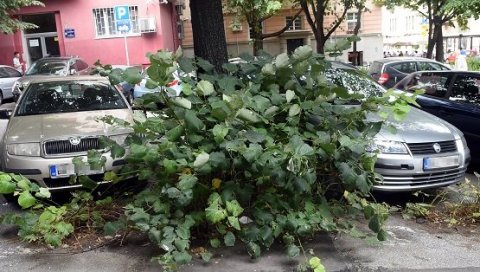АСФАЛТ ПОДИГНУТ, ВОЗАЧИ СЕ ДОВИЈАЈУ: Простор за остављање кола у зонираном делу Палмотићеве улице у лошем стању АСФАЛТ ПОДИГНУТ, ВОЗАЧИ СЕ ДОВИЈАЈУ: Простор за остављање кола у зонираном делу Палмотићеве улице у лошем стању