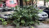 АСФАЛТ ПОДИГНУТ, ВОЗАЧИ СЕ ДОВИЈАЈУ: Простор за остављање кола у зонираном делу Палмотићеве улице у лошем стању
