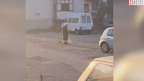 (УЗНЕМИРУЈУЋ ВИДЕО) Баба шутирала маче из све снаге - ужасна сцена у Нишу (УЗНЕМИРУЈУЋ ВИДЕО) Баба шутирала маче из све снаге - ужасна сцена у Нишу