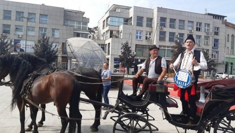 ПОЧЕЛА ЧИВИЈАДА: Трациционална шабачка манифестација ПОЧЕЛА ЧИВИЈАДА: Трациционална шабачка манифестација