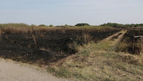 УСПЕШАН УЛОВ: Ловци из пожара спасли 400 фазана УСПЕШАН УЛОВ: Ловци из пожара спасли 400 фазана