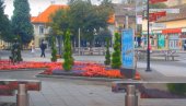 IZ BUDŽETA PANČEVA ZA PARNICE: Građani naplatili 36,4 miliona dinara IZ BUDŽETA PANČEVA ZA PARNICE: Građani naplatili 36,4 miliona dinara
