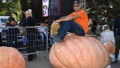 У КИКИНДИ ОДРЖАНИ 35. „ДАНИ ЛУДАЈЕ”: Каква рекордерка - ЏИН од скоро 600 КИЛОГРАМА дошао из Чуруга! (ФОТО)