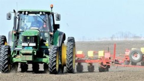 NAJVIŠE SE TRGOVALO OVOM ŽITARICOM: Najnoviji izveštaj sa Produktne berze NAJVIŠE SE TRGOVALO OVOM ŽITARICOM: Najnoviji izveštaj sa Produktne berze