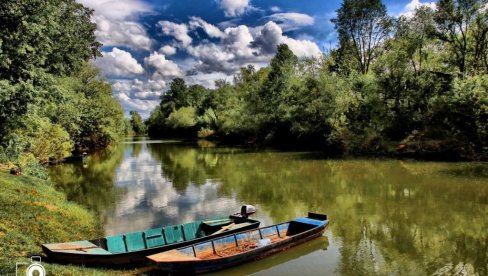 KATAMARANOM PO TAMIŠU: Plovidba dok vremenske prilike dozvole, pet puta nedeljno KATAMARANOM PO TAMIŠU: Plovidba dok vremenske prilike dozvole, pet puta nedeljno