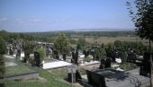 НИКО НЕ ЖЕЛИ ДА УКЛАЊА МИНЕ У ПОЖАРЕВЦУ: Проблеми око чишћења парцела НИКО НЕ ЖЕЛИ ДА УКЛАЊА МИНЕ У ПОЖАРЕВЦУ: Проблеми око чишћења парцела