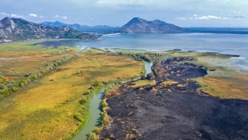 NAKON POŽARA U NACIONALNOM PARKU SKADARSKO JEZERO: NVO CZIP - Nemerljive posledice za biljni i životinjski svet (FOTO) NAKON POŽARA U NACIONALNOM PARKU SKADARSKO JEZERO: NVO CZIP - Nemerljive posledice za biljni i životinjski svet (FOTO)
