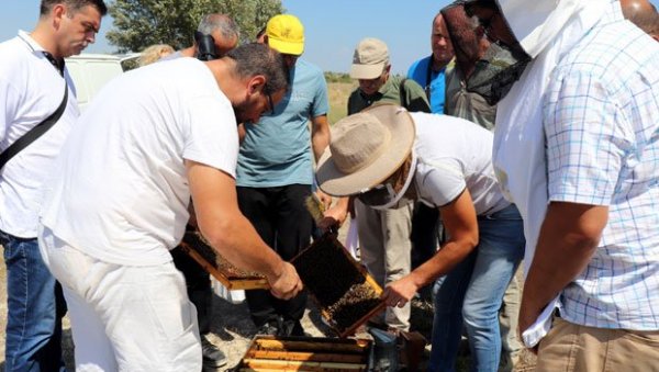ОБУКА О ОРГАНСКОЈ ПРОИЗВОДЊИ: Почела бесплатна предавања на Пољопривредном факултету ОБУКА О ОРГАНСКОЈ ПРОИЗВОДЊИ: Почела бесплатна предавања на Пољопривредном факултету