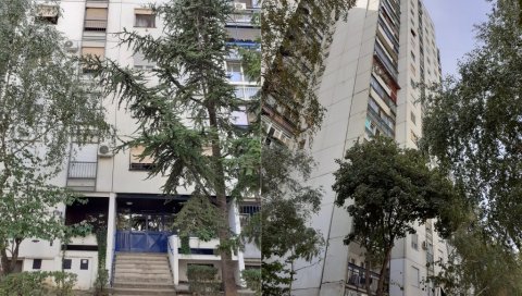 СЕДАМ МИЛИОНА ЗА ЛИФТ У СОЛИТЕРУ: ЈП Градско стамбено расписало тендер за поправку и замену постројења СЕДАМ МИЛИОНА ЗА ЛИФТ У СОЛИТЕРУ: ЈП Градско стамбено расписало тендер за поправку и замену постројења