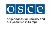 СПЕЦИЈАЛНИ ПРЕДСТАВНИК ПАРЛАМЕНТАРНЕ СКУПШТИНЕ ОЕБС-А: Видети повређене парламентарце и сузавац унутар парламента је потпуно неприхватљиво