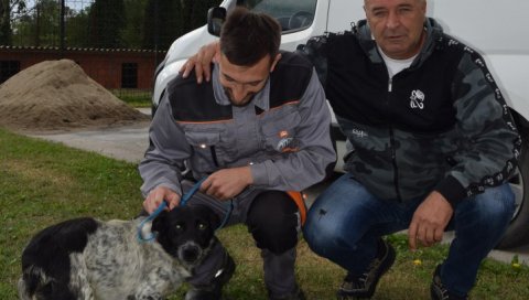 ЖУЧНЕ РАСПРАВЕ ОКО ПСА МЕДЕ: Кућни љубимац из Јагодине, који је ујео седморо људи, још у прихватилишту ЖУЧНЕ РАСПРАВЕ ОКО ПСА МЕДЕ: Кућни љубимац из Јагодине, који је ујео седморо људи, још у прихватилишту