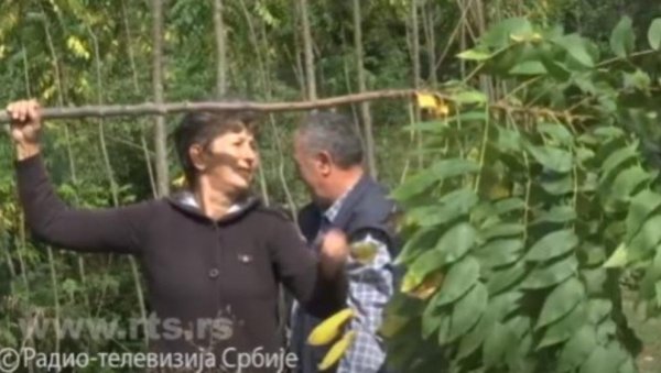 ДИДЕ ИЗ РОГАЧИЦЕ РЕШИО ДА ОБЕЗБЕДИ УНУКЕ: Пензију зарадио у Аустрији, а у Србију улаже - ево шта је посадио (ФОТО) ДИДЕ ИЗ РОГАЧИЦЕ РЕШИО ДА ОБЕЗБЕДИ УНУКЕ: Пензију зарадио у Аустрији, а у Србију улаже - ево шта је посадио (ФОТО)