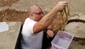 NE ODMARA IAKO JE OKTOBAR Vladica iz šahtova kod škole u Vranju izvukao 15 zmija NE ODMARA IAKO JE OKTOBAR Vladica iz šahtova kod škole u Vranju izvukao 15 zmija
