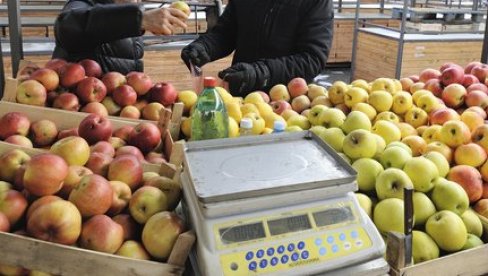 IZVOZ JABUKE NA SVETSKOM TRŽIŠTU DAJE IZVRSNE REZULTATE NA POLOVINI SEZONE: Otputovalo 70.000 tona