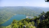 NA TARI OTKRIVENA RETKA ŽIVOTINJA: Do sada nije viđena u Srbiji, vetar nam doneo sibirsku lepoticu