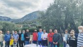 POČELA BERBA MASLINA: Degustirano prvo ovogodišnje ulje Stare masline POČELA BERBA MASLINA: Degustirano prvo ovogodišnje ulje Stare masline
