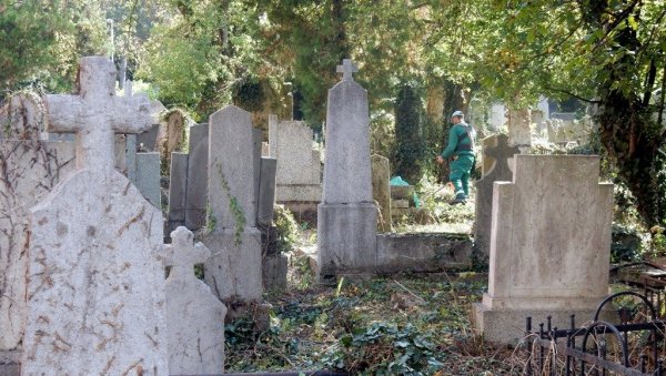 ПАРК УМЕСТО ПРАШУМЕ: Старо гробље на територији ГО Палилула би ускоро требало да постане понос свих Нишлија ПАРК УМЕСТО ПРАШУМЕ: Старо гробље на територији ГО Палилула би ускоро требало да постане понос свих Нишлија