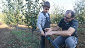 PEKAO ZANAT U BAZELU, A SAD ŠLJIVU U IVANKOVCU: Bogdanović iz Ivankovca posle tri decenije u Švajcarskoj, podiže šljivike u Srbiji