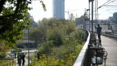 POSADIĆE SE 88 NOVIH STABALA: Univerzitetski park u Novom Sadu dobiće novo lice POSADIĆE SE 88 NOVIH STABALA: Univerzitetski park u Novom Sadu dobiće novo lice