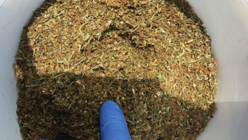 NA BATROVCIMA PRONAĐENO 2,2 KG MARIHUANE: Granična policija uhapsila osumnjičene NA BATROVCIMA PRONAĐENO 2,2 KG MARIHUANE: Granična policija uhapsila osumnjičene
