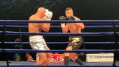 ODRŽANO VEČE BALKANSKOG BOKSA: Prašović slavio u borbi večeri! ODRŽANO VEČE BALKANSKOG BOKSA: Prašović slavio u borbi večeri!