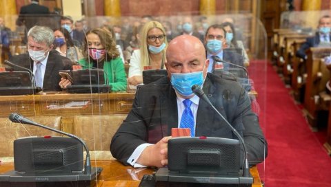 ПАЛМА У СКУПШТИНИ: Суљо, врати се у нормалу ПАЛМА У СКУПШТИНИ: Суљо, врати се у нормалу
