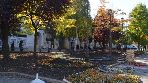 РЕКОНСТРУКЦИЈА ГРАДСКОГ ТРГА У ВРШЦУ: Постављају 3Д слова са именом града и нове цветне скулптуре РЕКОНСТРУКЦИЈА ГРАДСКОГ ТРГА У ВРШЦУ: Постављају 3Д слова са именом града и нове цветне скулптуре