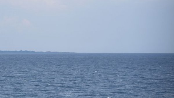 ПРОНАЂЕНО БЕСМРТНО МИСТЕРИОЗНО СТВОРЕЊЕ: Научници дошли до кључних одговора (ВИДЕО/ФОТО) ПРОНАЂЕНО БЕСМРТНО МИСТЕРИОЗНО СТВОРЕЊЕ: Научници дошли до кључних одговора (ВИДЕО/ФОТО)