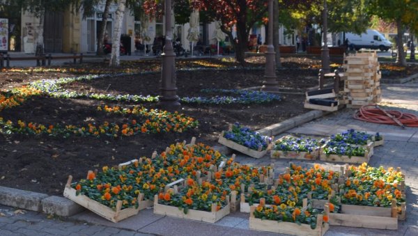 ПА ЗАР И ЦВЕЋЕ КРАДУ? Несавесни грађани већ годинама краду тек посађено цвеће са јавних површина ПА ЗАР И ЦВЕЋЕ КРАДУ? Несавесни грађани већ годинама краду тек посађено цвеће са јавних површина