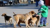 ПСИ КАО ПОЛИГЛОТЕ. Истраживање мађарске научнице показало да љубимци знају да разликују ејзике