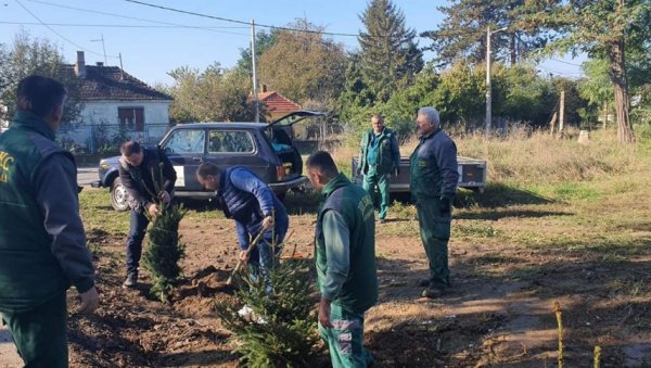 ЧИСТЕ ДЕПОНИЈЕ И САДЕ ЈЕЛКЕ: Еколошка акција градске општине Обреновац и локалних комуналних предузећа ЧИСТЕ ДЕПОНИЈЕ И САДЕ ЈЕЛКЕ: Еколошка акција градске општине Обреновац и локалних комуналних предузећа