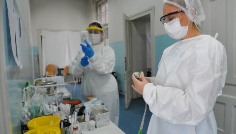 ЦРНИ КОРОНА РЕКОРД У НОВОМ САДУ: За један дан регистровано скоро 600 нових случајева ЦРНИ КОРОНА РЕКОРД У НОВОМ САДУ: За један дан регистровано скоро 600 нових случајева