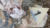 ЗАПЛЕЊЕНО ВИШЕ ОД 25 КИЛОГРАМА ДРОГЕ: У две акције полиције ухапшене две особе (ФОТО) ЗАПЛЕЊЕНО ВИШЕ ОД 25 КИЛОГРАМА ДРОГЕ: У две акције полиције ухапшене две особе (ФОТО)