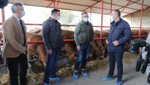 НЕДИМОВИЋ НА ФАРМИ ЈУНИЦА: Министар посетио Банатско Карађорђево НЕДИМОВИЋ НА ФАРМИ ЈУНИЦА: Министар посетио Банатско Карађорђево
