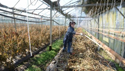 МЕЂУСОБНО ПРИЗНАЊЕ ЗА ОРГАНСКЕ СЕРТИФИКАТЕ: Министарства пољопривреде Србије и Републике Српске договорила сарадњу МЕЂУСОБНО ПРИЗНАЊЕ ЗА ОРГАНСКЕ СЕРТИФИКАТЕ: Министарства пољопривреде Србије и Републике Српске договорила сарадњу