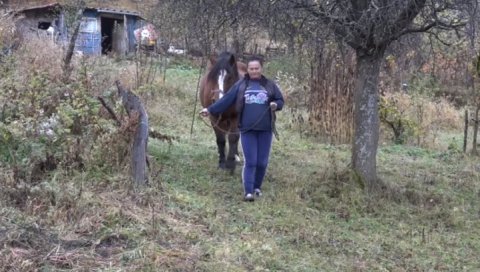 МЕЧКА РАСКОМАДАЛА КОЊА: Мештани голијских села у страху од крволочне звери МЕЧКА РАСКОМАДАЛА КОЊА: Мештани голијских села у страху од крволочне звери