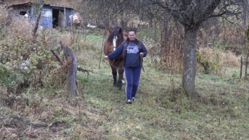 МЕЧКА РАСКОМАДАЛА КОЊА: Мештани голијских села у страху од крволочне звери МЕЧКА РАСКОМАДАЛА КОЊА: Мештани голијских села у страху од крволочне звери