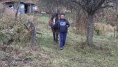 МЕЧКА РАСКОМАДАЛА КОЊА: Мештани голијских села у страху од крволочне звери МЕЧКА РАСКОМАДАЛА КОЊА: Мештани голијских села у страху од крволочне звери