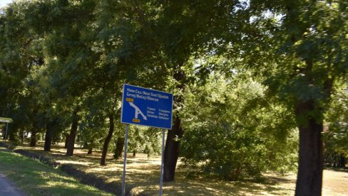 NOVI DETALJI TRAGEDIJE KOD ADE: Poznat identitet nastradale žene, autom udarila u kuću i poginula NOVI DETALJI TRAGEDIJE KOD ADE: Poznat identitet nastradale žene, autom udarila u kuću i poginula