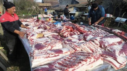 СВИЊОКОЉИ ОДОЛЕВАЈУ ВРЕМЕНУ: Погледајте детаље са банатског диснотора, традиција се одржава (ФОТО) СВИЊОКОЉИ ОДОЛЕВАЈУ ВРЕМЕНУ: Погледајте детаље са банатског диснотора, традиција се одржава (ФОТО)