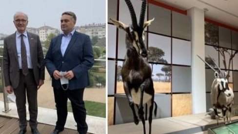 ОДУШЕВЉЕНИ АМБАСАДОР: Жан-Луј Фалкони препоручује Природњачки музеј у Свилајнцу ОДУШЕВЉЕНИ АМБАСАДОР: Жан-Луј Фалкони препоручује Природњачки музеј у Свилајнцу