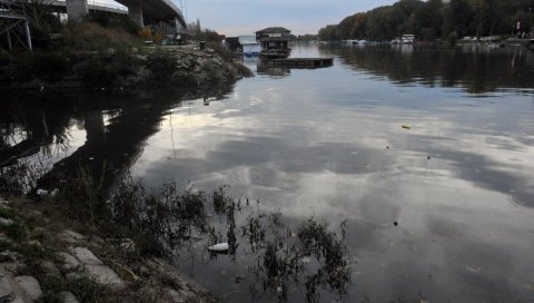 ЧУКАРИЧКИ РУКАВАЦ УСКОРО БЕЗ МУЉА: Инспекција издала налог за “Србијаводе” да обави хитно чишћење ЧУКАРИЧКИ РУКАВАЦ УСКОРО БЕЗ МУЉА: Инспекција издала налог за “Србијаводе” да обави хитно чишћење
