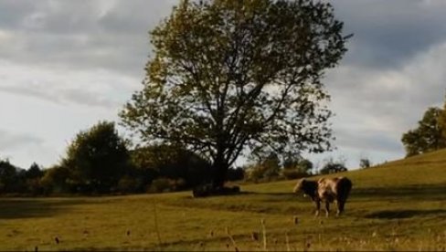 ПОГЛЕДАЈТЕ: Нови кратки филм Емира Кустурице „Јунаци нашег времена“ (ВИДЕО) ПОГЛЕДАЈТЕ: Нови кратки филм Емира Кустурице „Јунаци нашег времена“ (ВИДЕО)